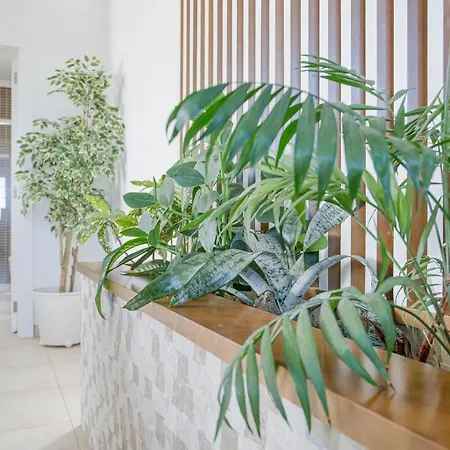 Santana Villa Conil